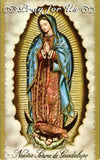 Our Lady of Guadalupe 5 Day Candle