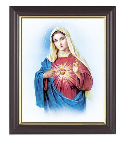 Immaculate Heart of Mary Picture in Walnut Frame - 8" X 10" - Gerken's Religious Supplies