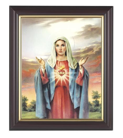 Immaculate Heart of Mary Picture in Walnut Frame - 8" X 10" - Gerken's Religious Supplies