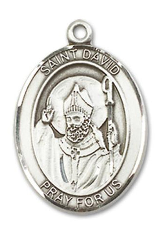 St. David of Wales Sterling Silver Medal